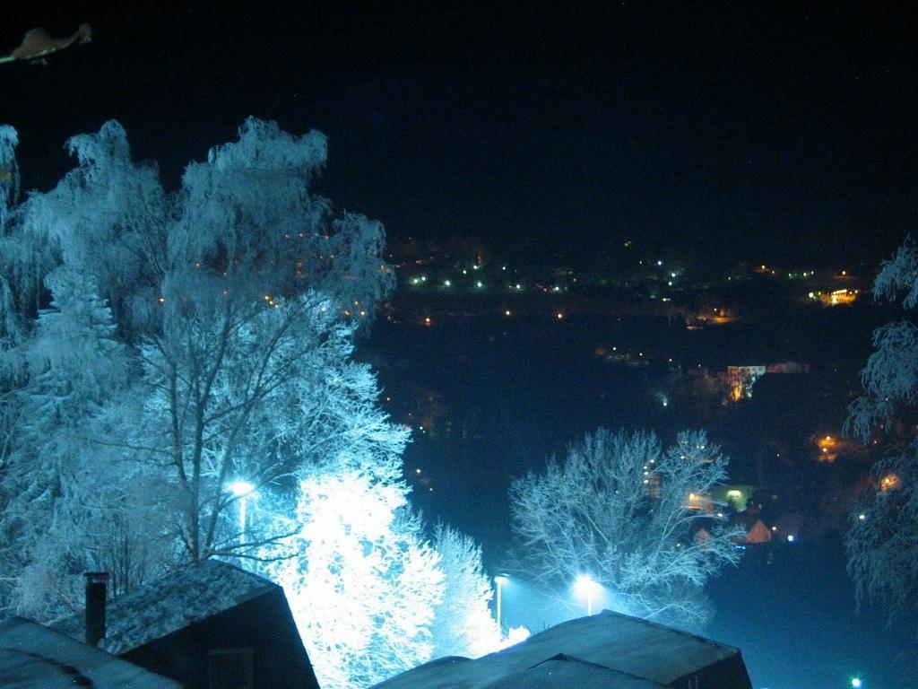 Ferienhaus Hajek Freyung Ruang foto
